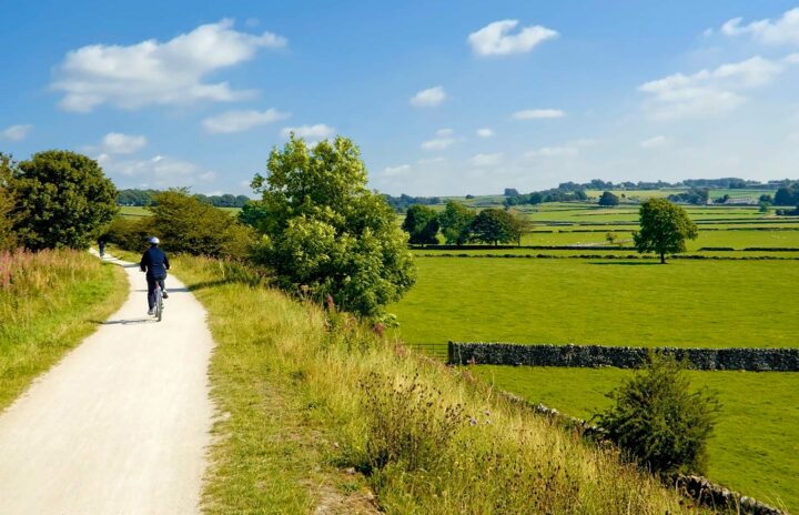 A greener neighbourhood